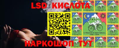 apvp Краснодар