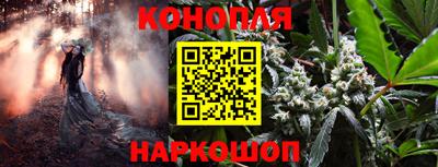 гидра Кулебаки