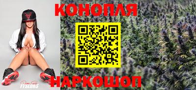 прущие крисы Краснознаменск