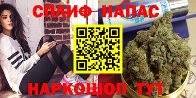 apvp Краснодар