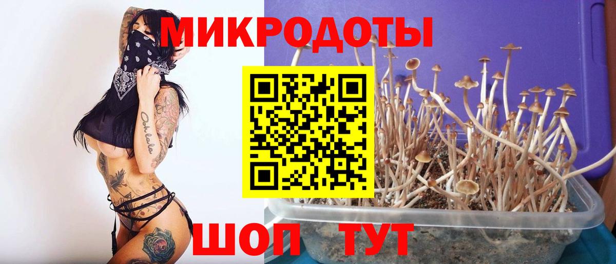Псилоцибиновые грибы ЛСД Черкесск