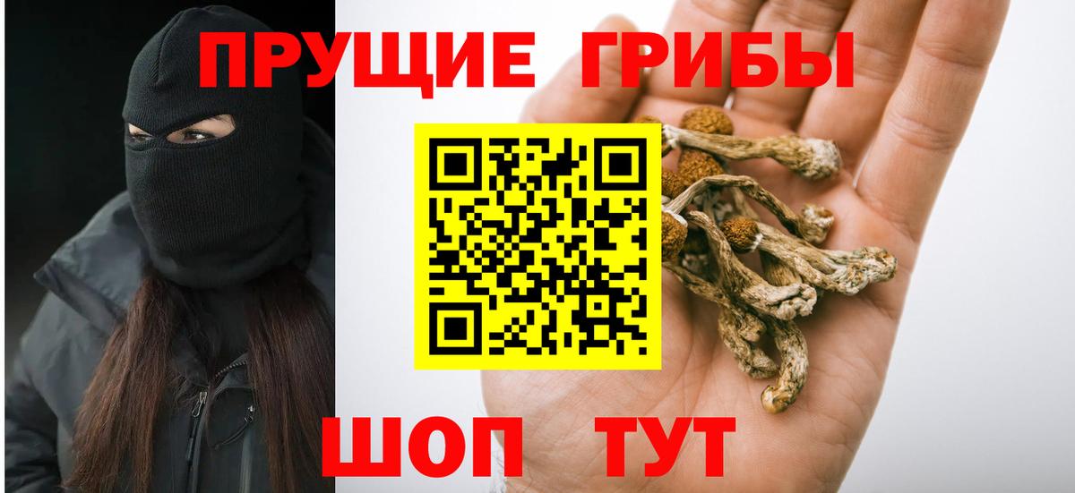 Псилоцибиновые грибы Cubensis  Вход с VPN  Галлюциногенные грибы Psilocybine cubensis  Черкесск 