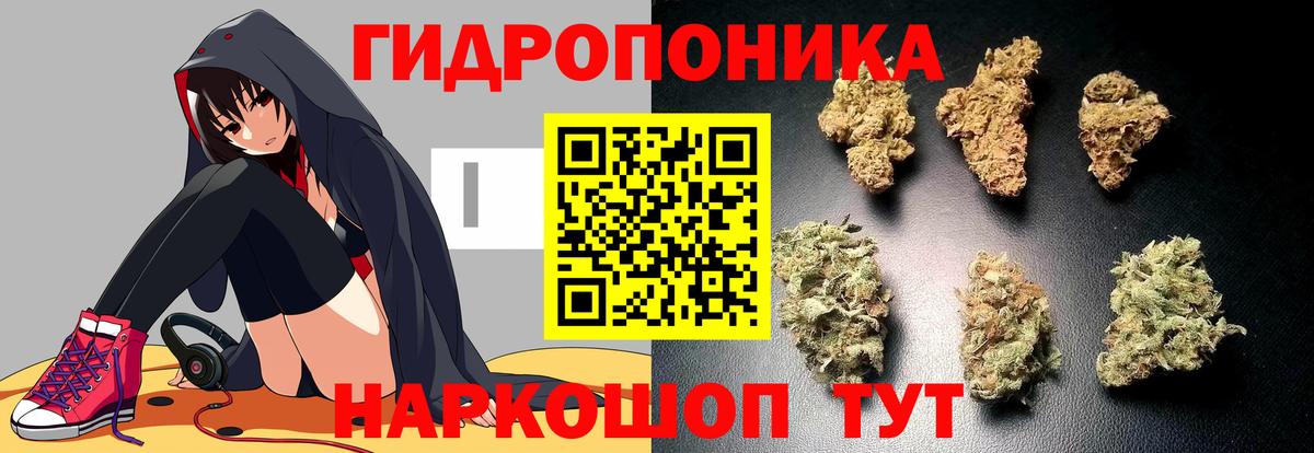 Шишки марихуана планчик  МАРИХУАНА планчик  Черкесск  Вход с VPN  Шишки марихуана VHQ  Марихуана THC 21% 